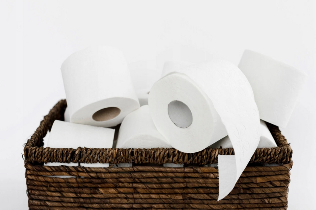 BULKY SOFT Papier toilette 2 épaisseurs certifié Ecolabel 36 rouleaux (3 x 12)