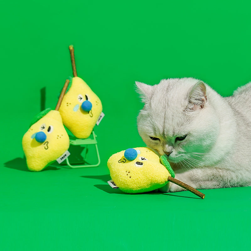 Zeze Jouet pour chat citron au matatabi, Jouet à mâcher naturel pour chatons