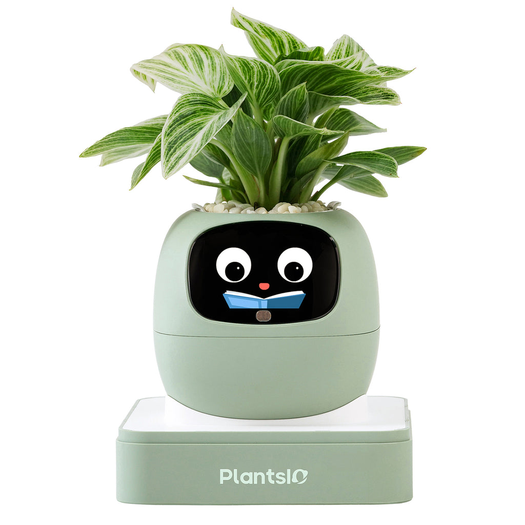 Cadeau d'été pour embellir votre intérieur – Pot de plante intelligent IA Ivy, interaction par expressions faciales, entretien intelligent des plantes