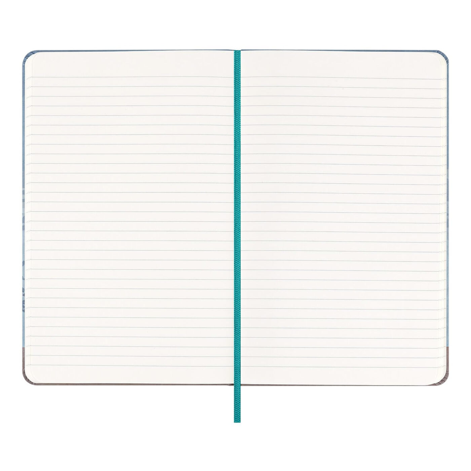 MOLESKINE carnet ligné grand format Casa Batlló