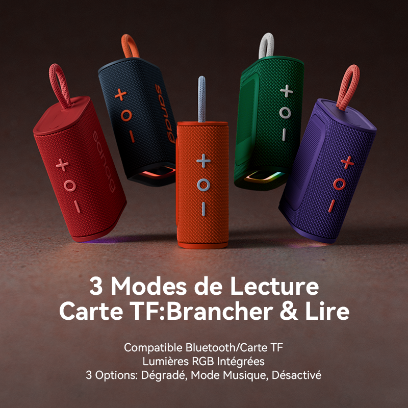 Sanag M13S II Pro Max Enceinte sans fil Bluetooth portable et étanche - Noir