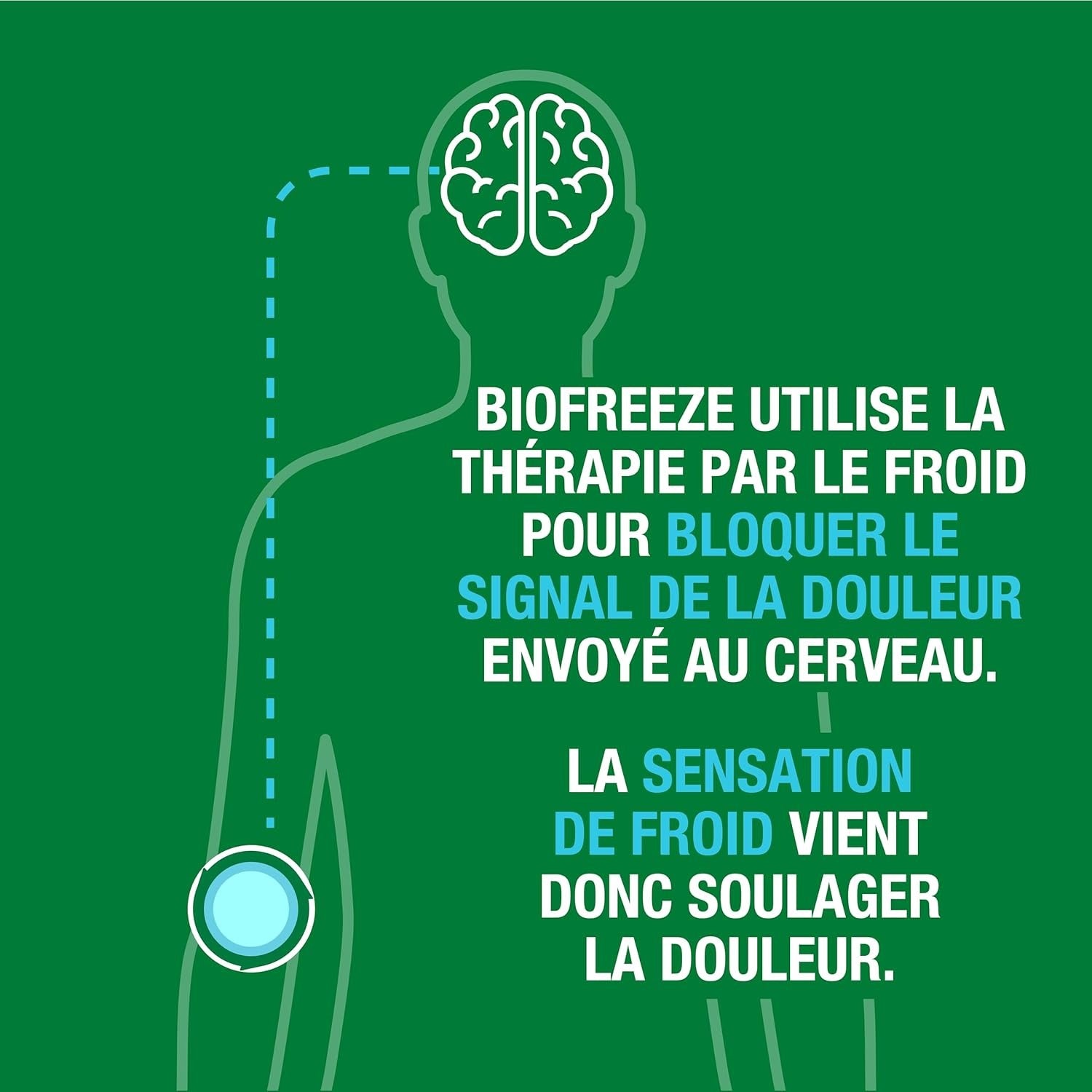 Biofreeze Roll-On Anti-Douleur 89 ml
