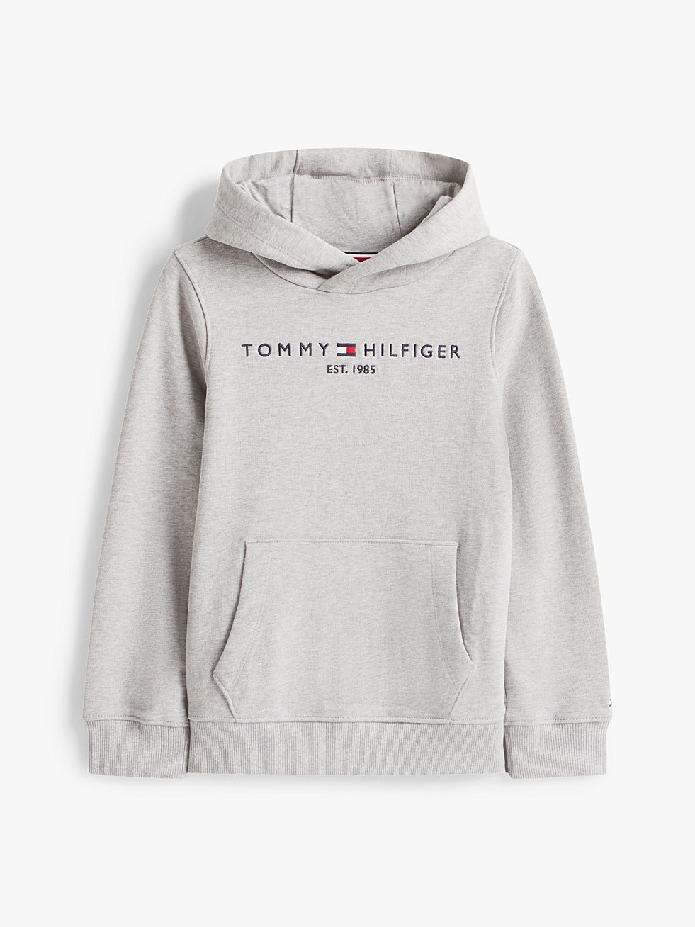 Tommy Hilfiger Sweat à capuche basique Gris 80