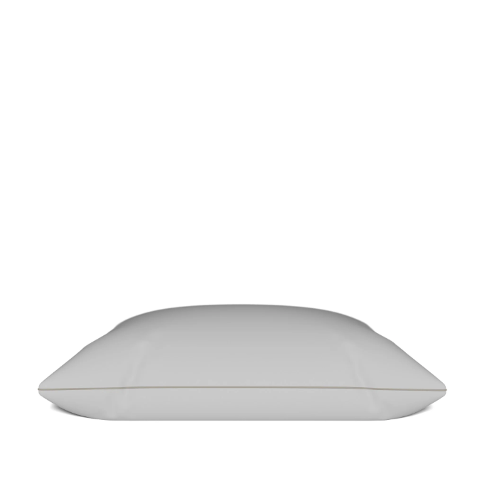 MORPHEA Oreiller Drimz en plumes et duvet de canard - 60 x 60 cm
