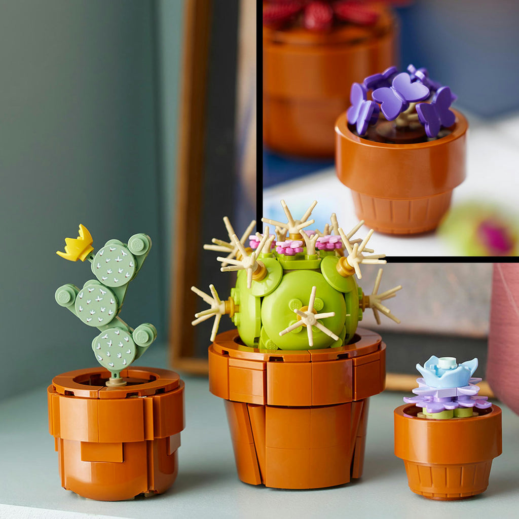 LEGO Botanicals 10329 Les plantes miniatures