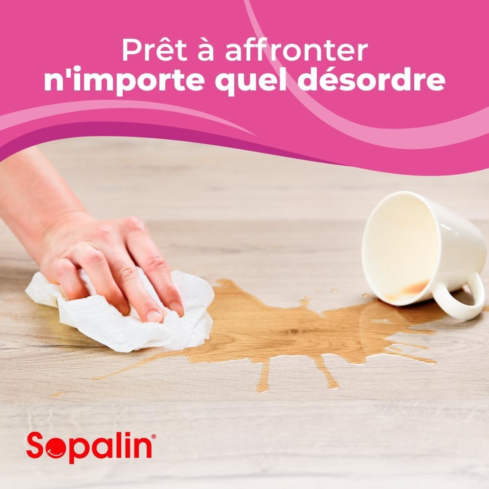 SOPALIN Essuie-Tout 2 Épaisseurs Ultra Résistant, 250 Feuilles, 1 Maxi Rouleau (Équivalent à 5 Rouleaux Standards)