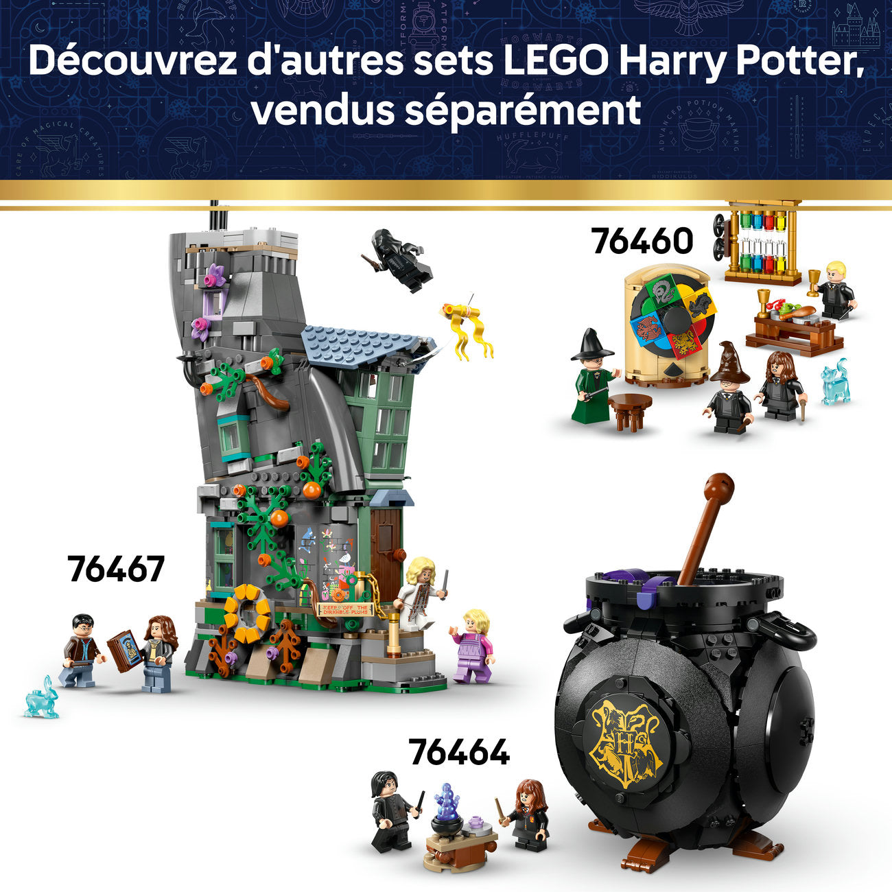 LEGO Harry Potter 76463 Château de Poudlard™ : Set de Construction de l'Aile des Infirmeries