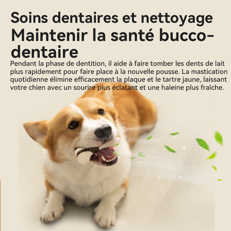 Blinkit Jouet à mâcher pour chien, Jouet résistant aux morsures en cuir de vachette robuste et nylon pour chiens mâcheurs intensifs, Jouet de nettoyage dentaire