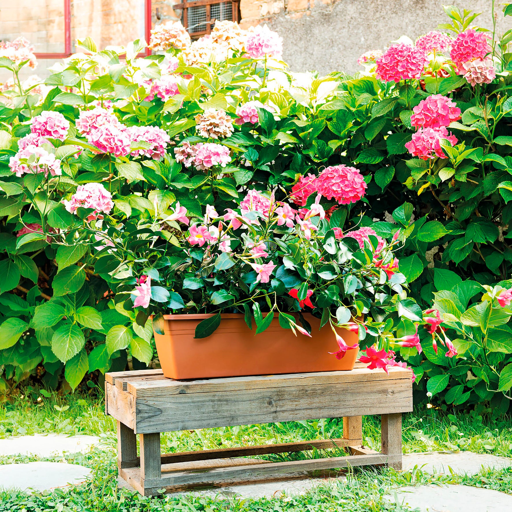 DEROMA Jardinière Day R Cotto 40cm