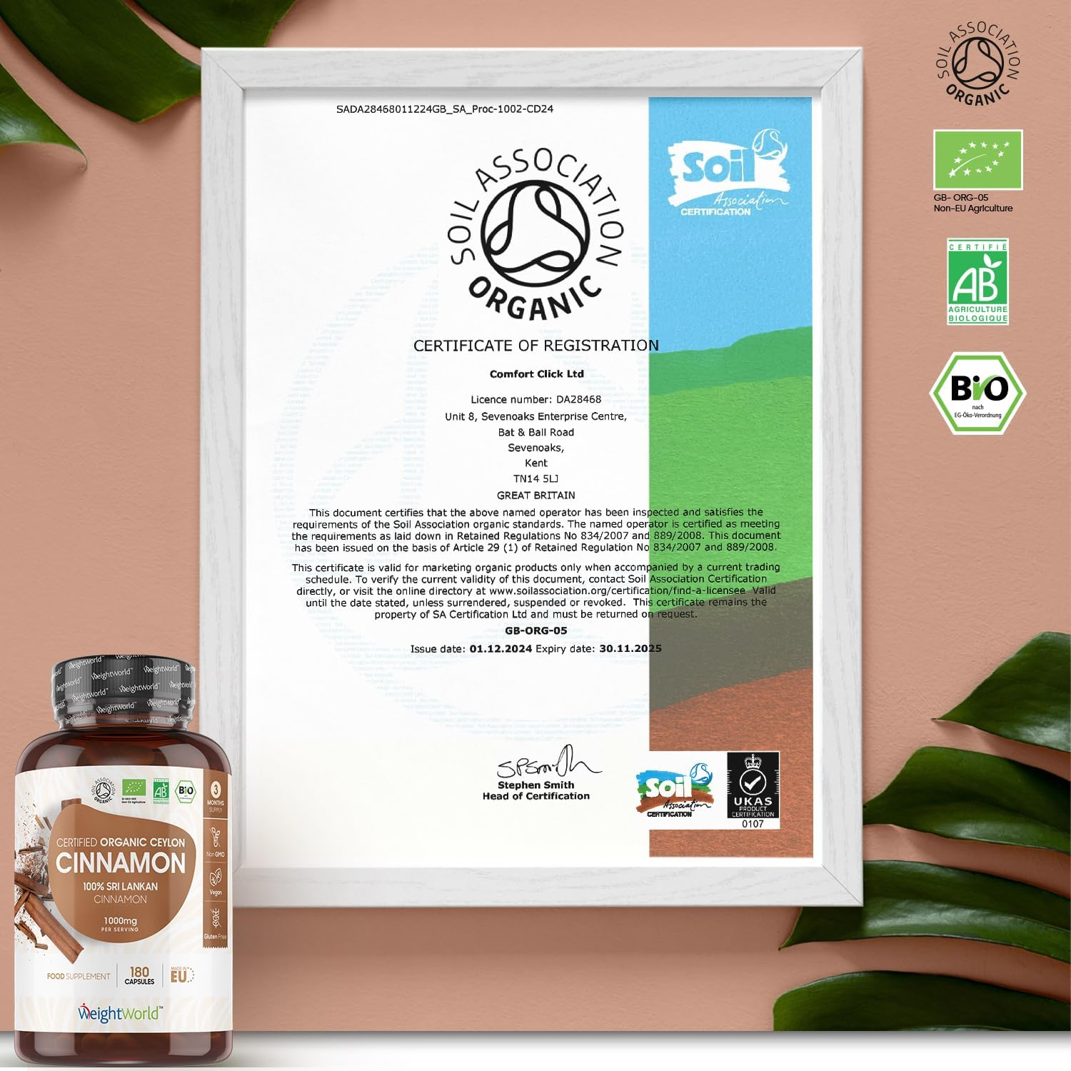 WeightWorld Cannelle biologique 1000 mg - 180 gélules