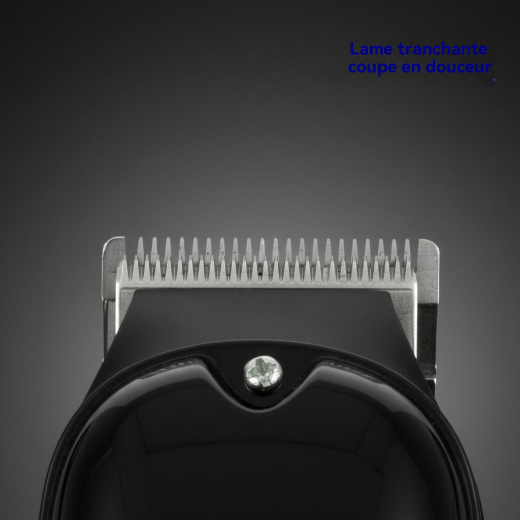 RAF Tondeuse professionnelle sans fil 5W puissante, écran LED, lame en acier au carbone, kit de coiffage pour hommes, coiffeur à domicile