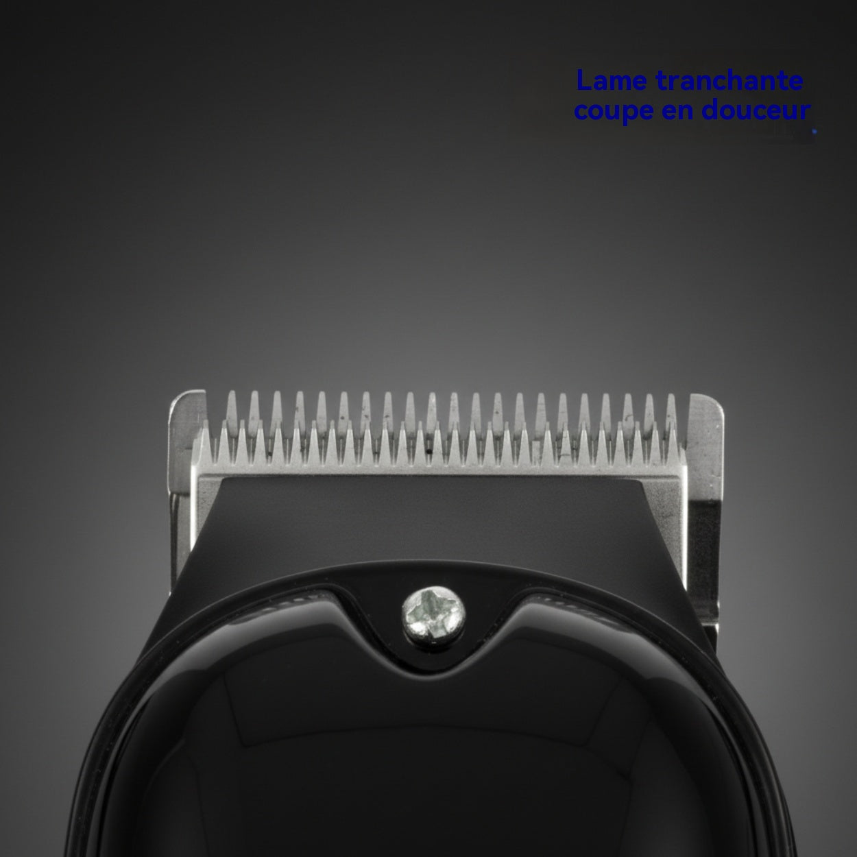 RAF Tondeuse professionnelle sans fil 5W puissante, écran LED, lame en acier au carbone, kit de coiffage pour hommes, coiffeur à domicile