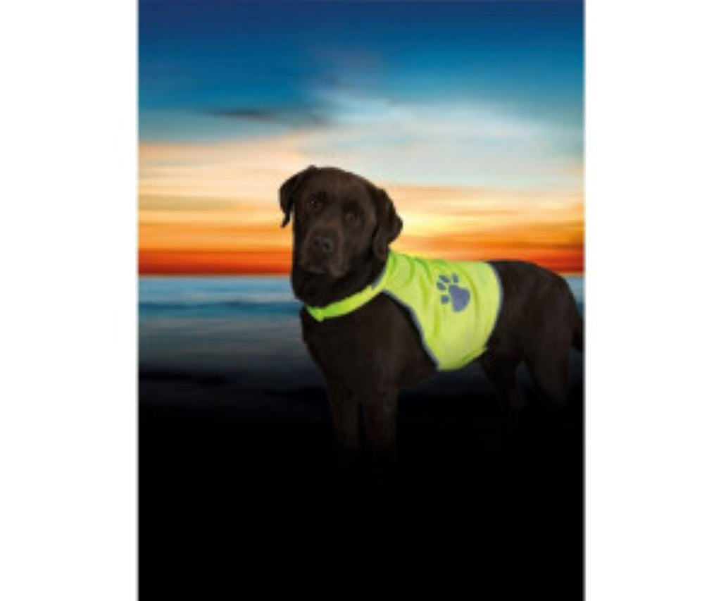 Trixie Veste de sécurité réfléchissante pour chien, taille M