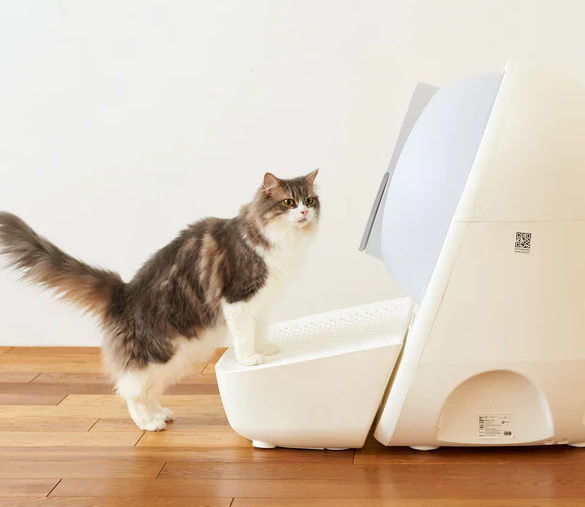 CATLINK Escaliers pour chat, compatibles avec Pro-X/Young, Blanc, 570 x 350 x 230 mm