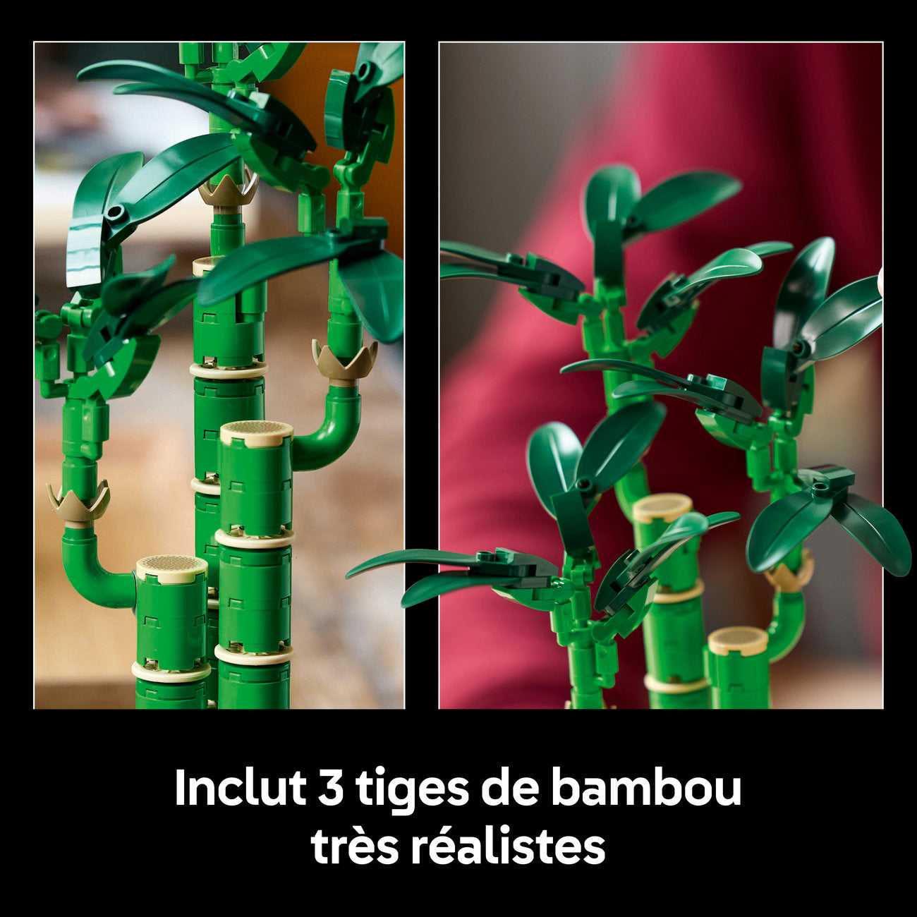 LEGO Botanicals 10344 Le bambou de la chance