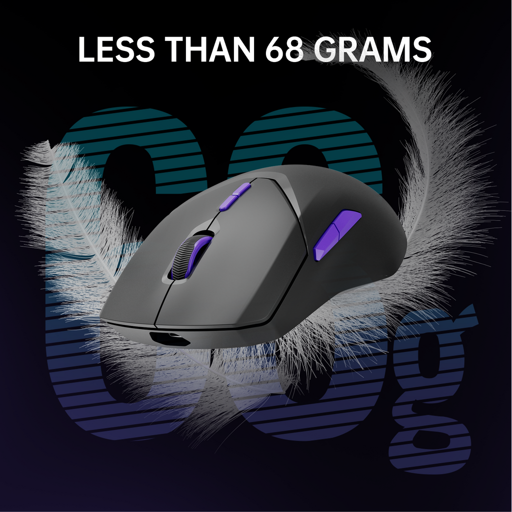 RAPOO VT9Pro 4K Souris gaming sans fil - Noir
