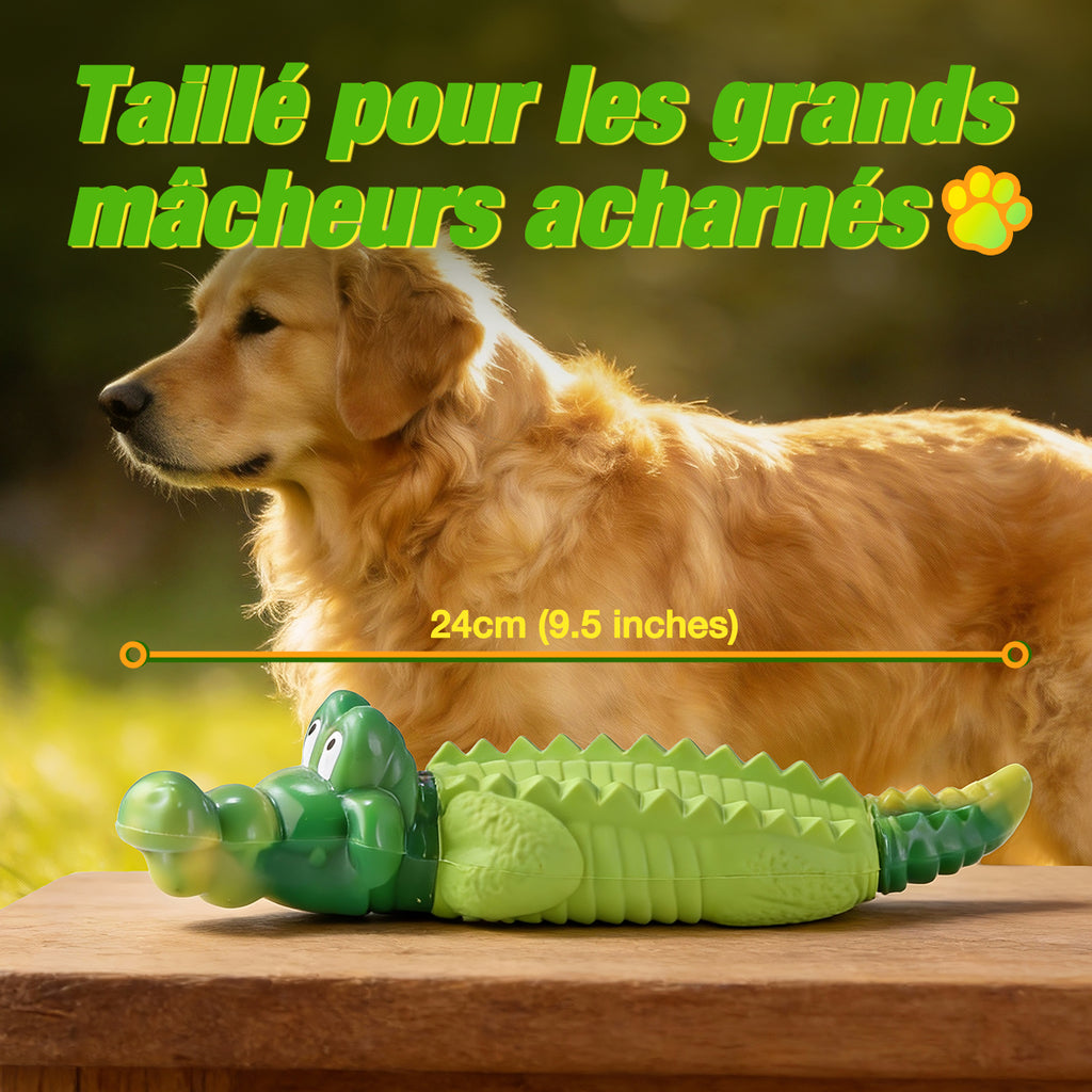 Blinkit Jouet à mâcher interactif résistant aux morsures pour chiens moyens et grands, Caoutchouc naturel et nylon, Structure double couche, Convient au rapport