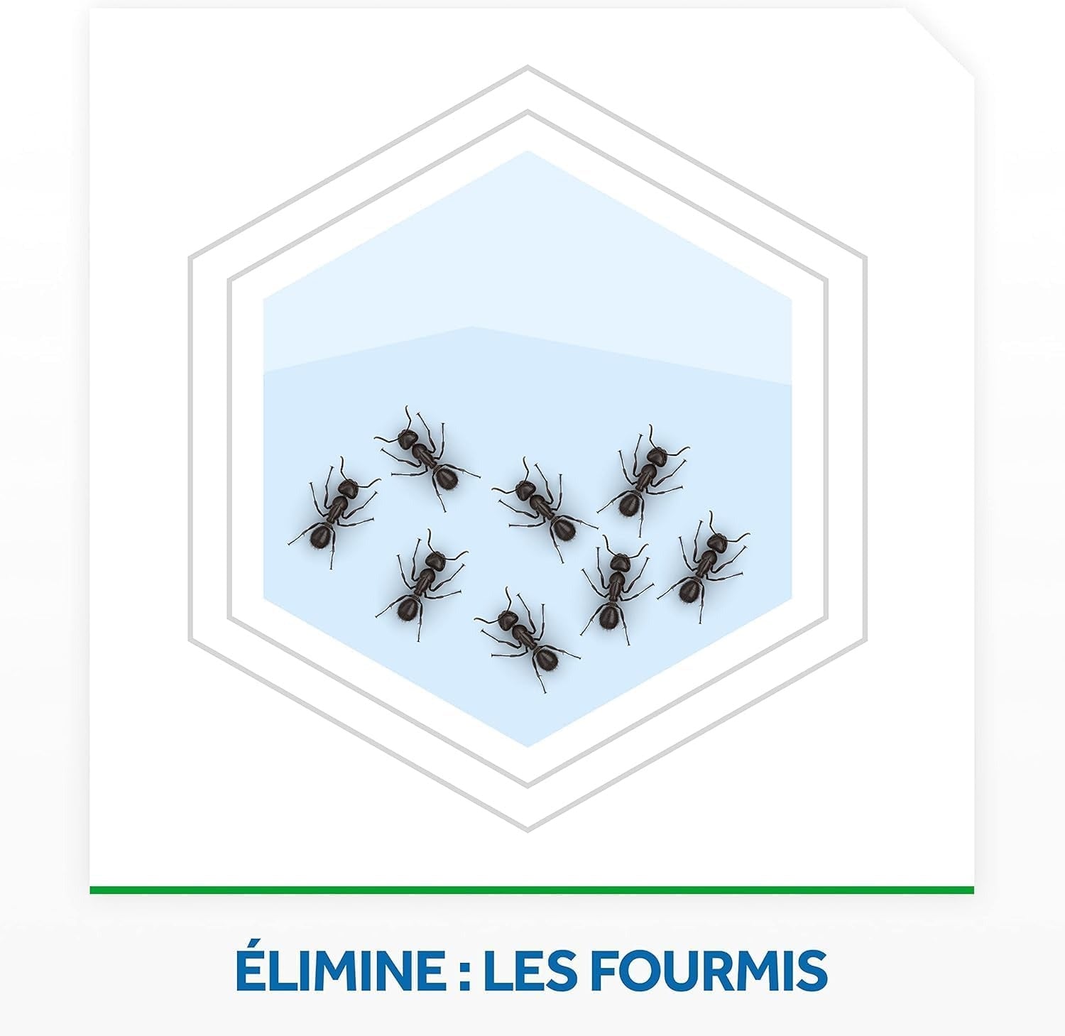 RAID Max Boîte Anti-Fourmis Usage Intérieur et Extérieur 1 Boîte