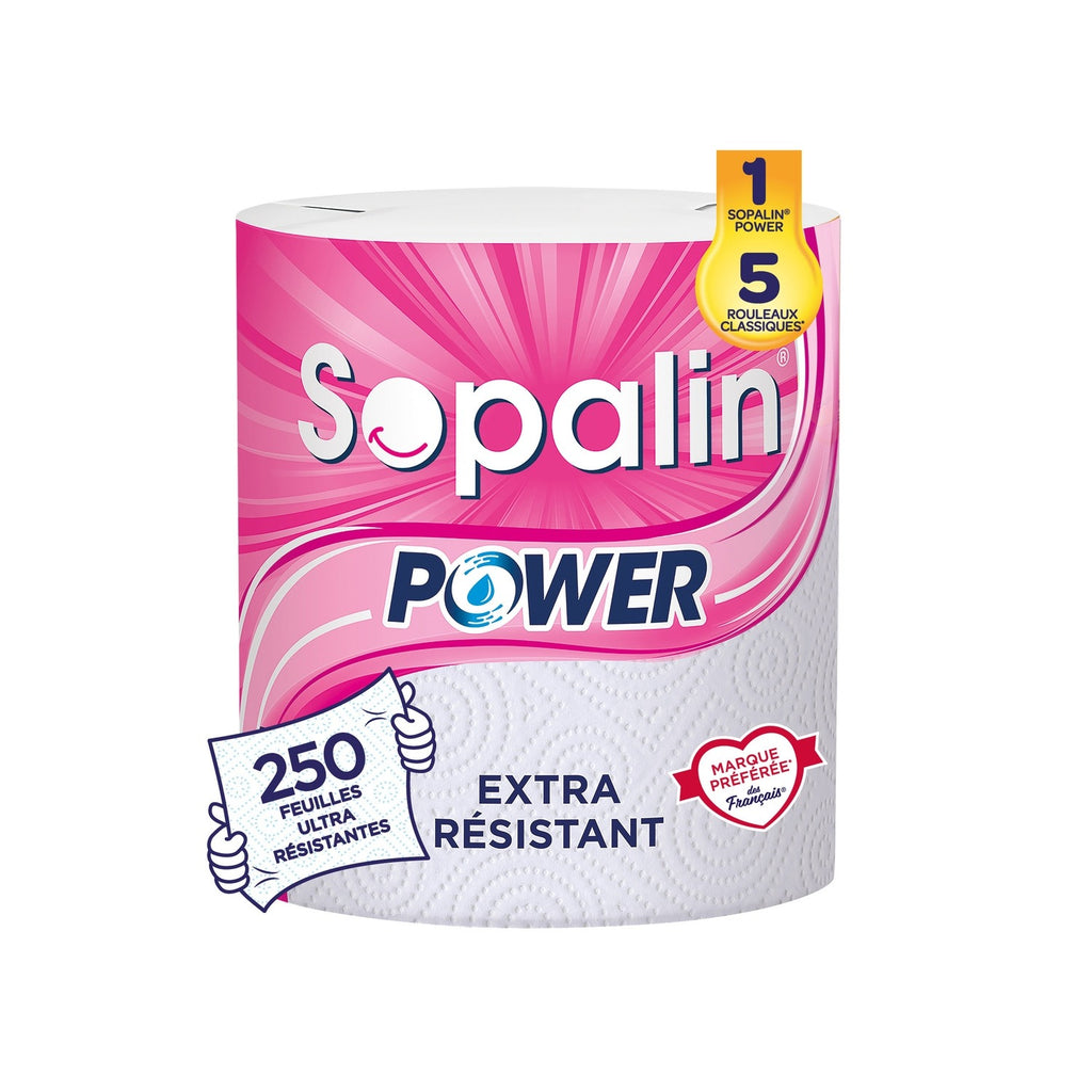 SOPALIN Essuie-Tout 2 Épaisseurs Ultra Résistant, 250 Feuilles, 1 Maxi Rouleau (Équivalent à 5 Rouleaux Standards)