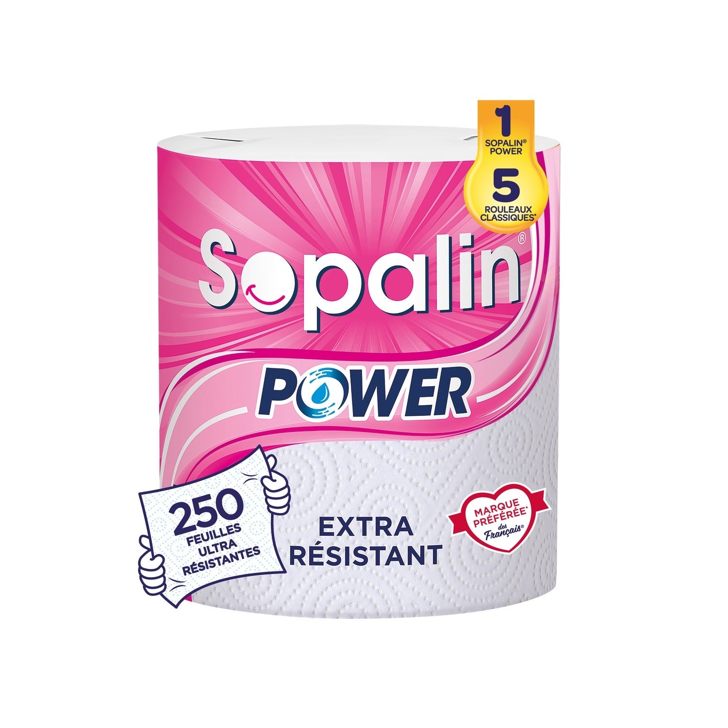 SOPALIN Essuie-Tout 2 Épaisseurs Ultra Résistant, 250 Feuilles, 1 Maxi Rouleau (Équivalent à 5 Rouleaux Standards)
