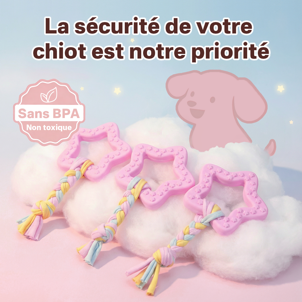 BLINKIT Jouet à mâcher en forme d'étoile rose en corde TPR et tissu pour chiens