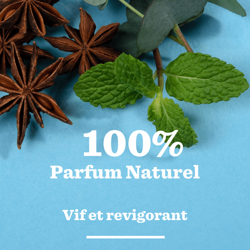 BULLDOG SKINCARE Menthe Poivrée & Eucalyptus - Gel Douche - 500 ml