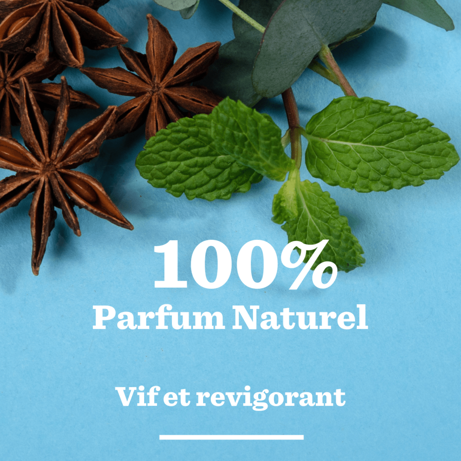 BULLDOG SKINCARE Menthe Poivrée & Eucalyptus - Gel Douche - 500 ml