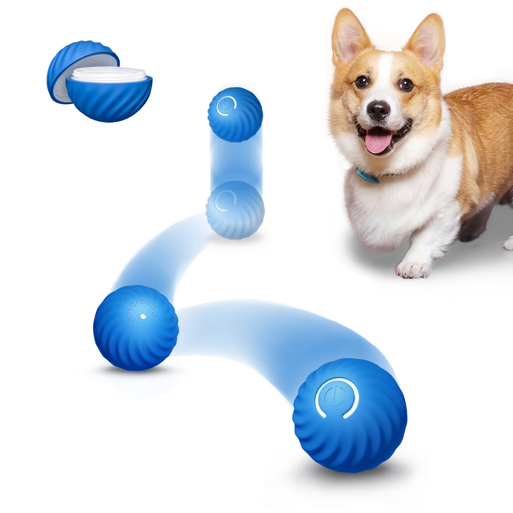 Petgravity Balle rebondissante intelligente pour chien de petite taille Bleu