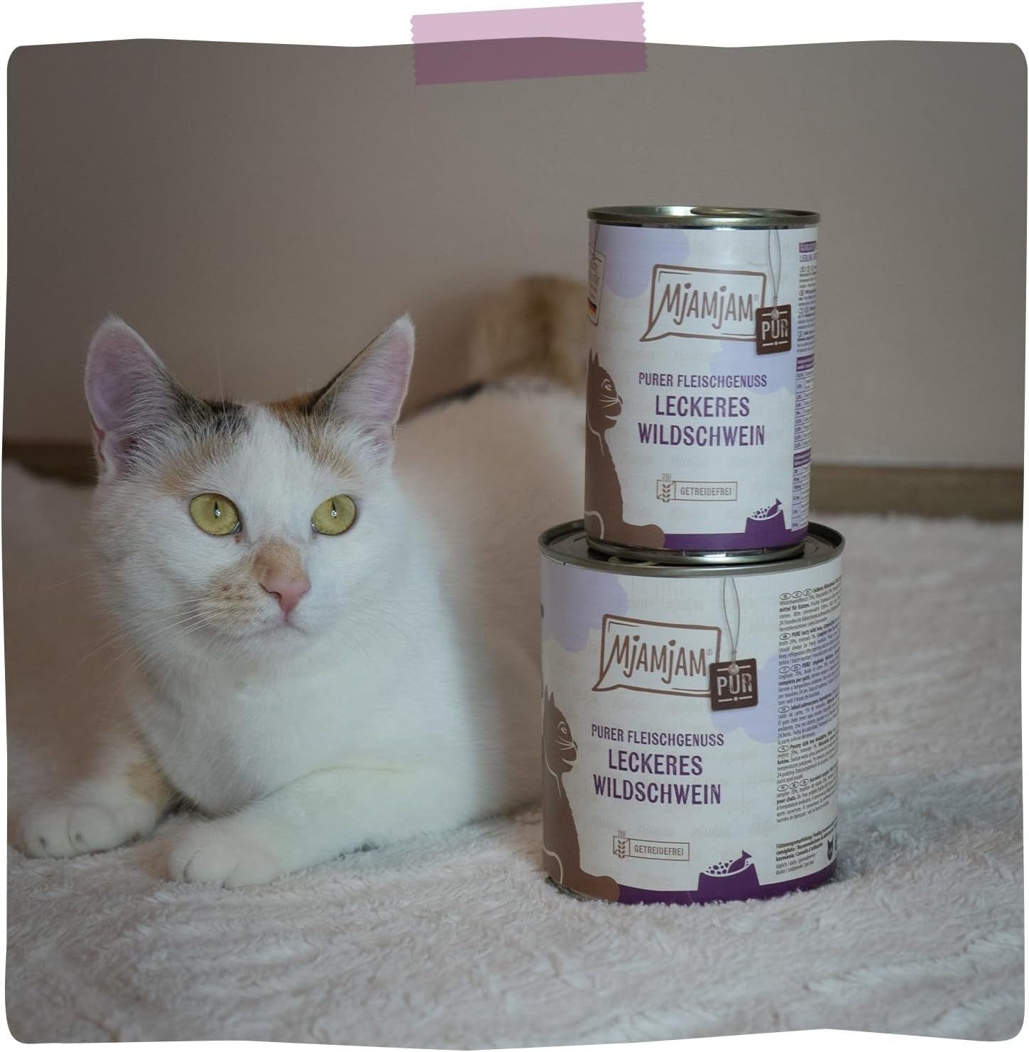 [Peut être servi frais pour l'été] MjAMjAM Nourriture humide pure pour chat sanglier - 400 g x 6