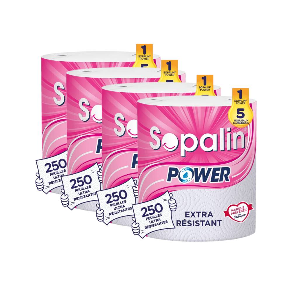 SOPALIN Essuie-tout 2 Épaisseurs Ultra-résistant, 750 Feuilles, 3 Maxi Rouleaux (Équivalent à 15 Rouleaux Standard) (3 Paquets de 1)