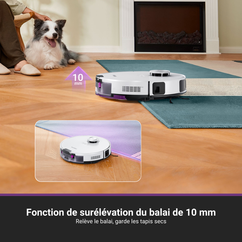 Eureka E20 Plus Aspirateur Robot avec Puissance d'Aspiration de 8000 Pa, Évitement d'Obstacles 3D IA DuoDetect, Brosse Anti-Emmêlement, Bac à Poussière 45 Jours