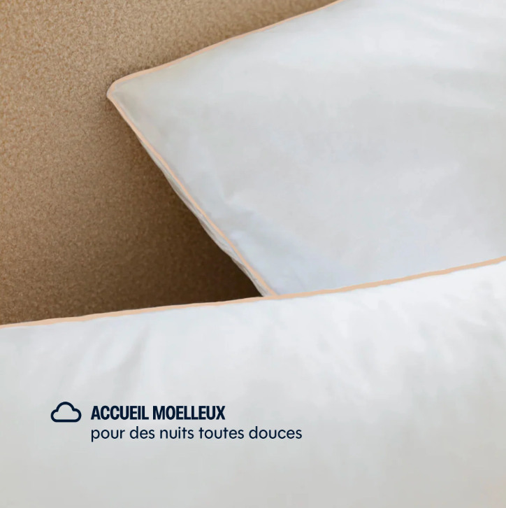 MORPHEA Oreiller Drimz en plumes et duvet de canard - 60 x 60 cm