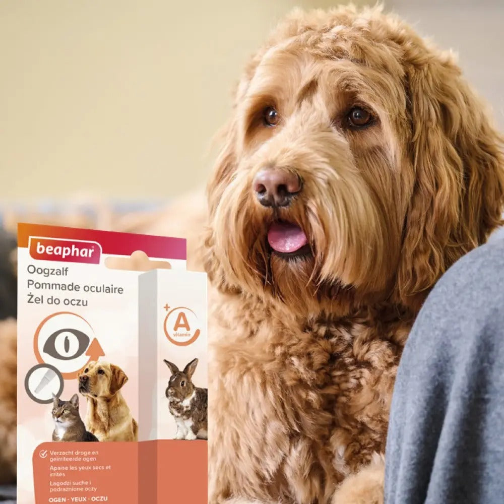 BEAPHAR Pommade oculaire chien/chat - 5 ml