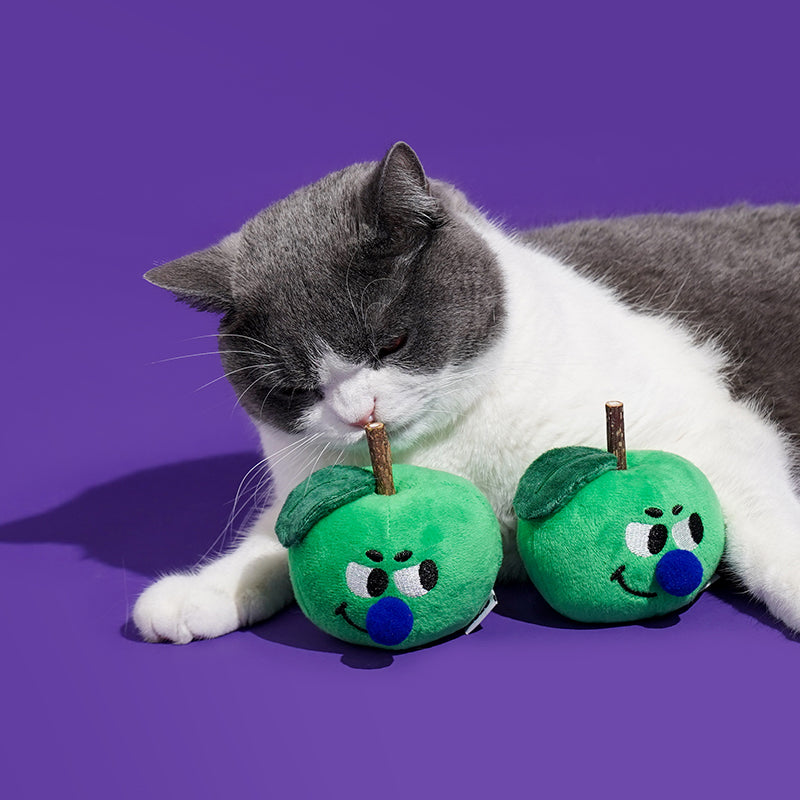 zeze Jouet à la pomme verte et au matatabi