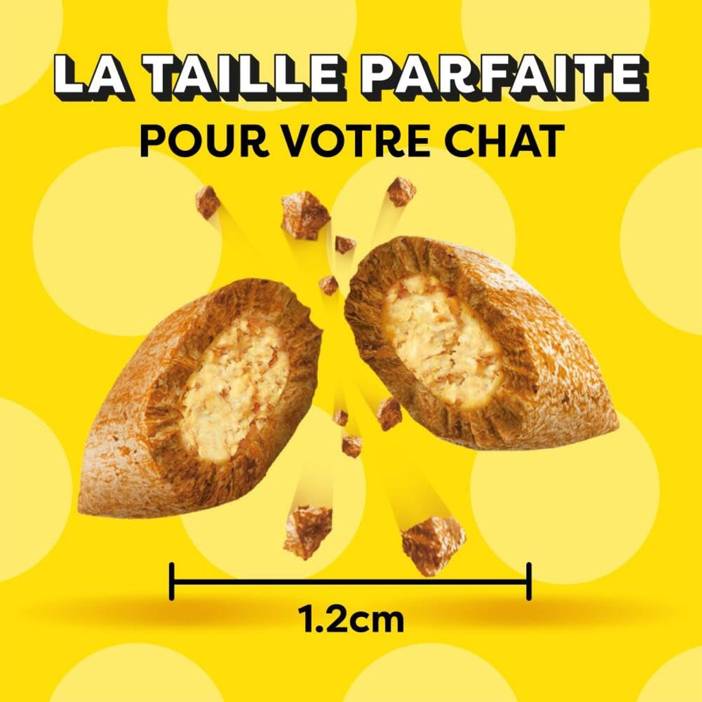 Catisfactions friandises au saumon pour chats et chatons - 60 g