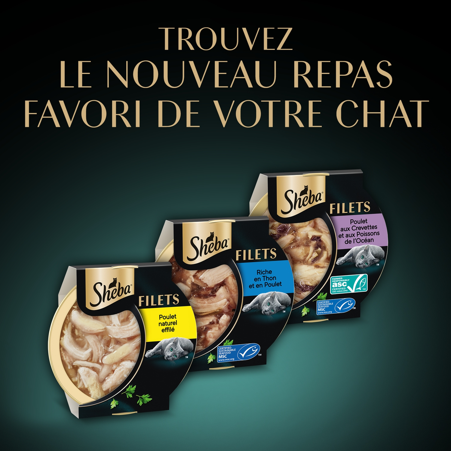Sheba Friandises pour chat au poulet, aux crevettes et aux filets de poisson de l'océan - 60 g