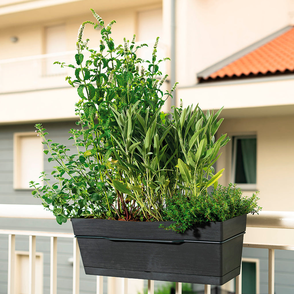 DEROMA Kit Jardinière Save R Anthracite à réserve d'eau 49cm