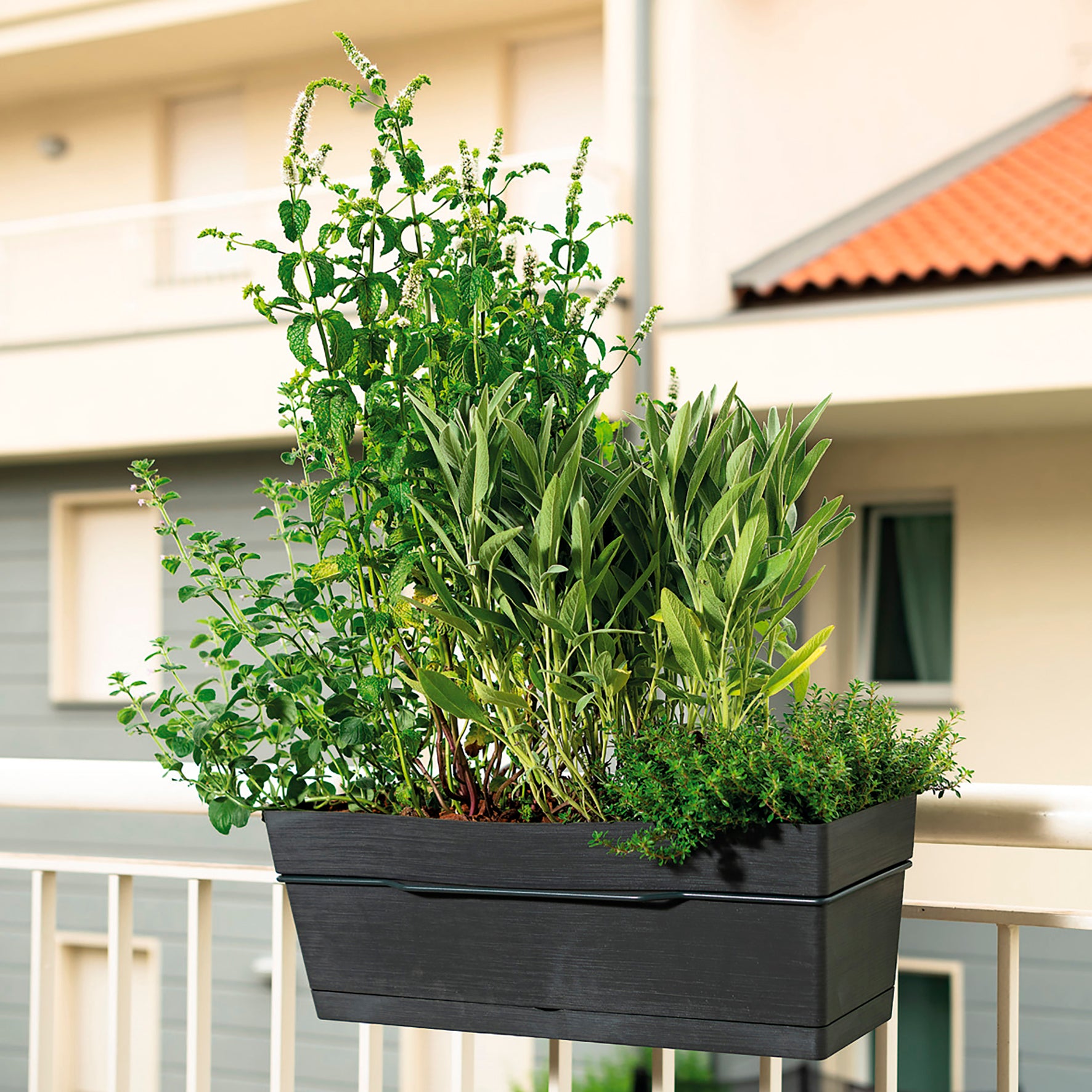 DEROMA Kit Jardinière Save R Anthracite à réserve d'eau 49cm