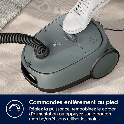Electrolux 600 EB61C4OG Aspirateur traîneau avec sac