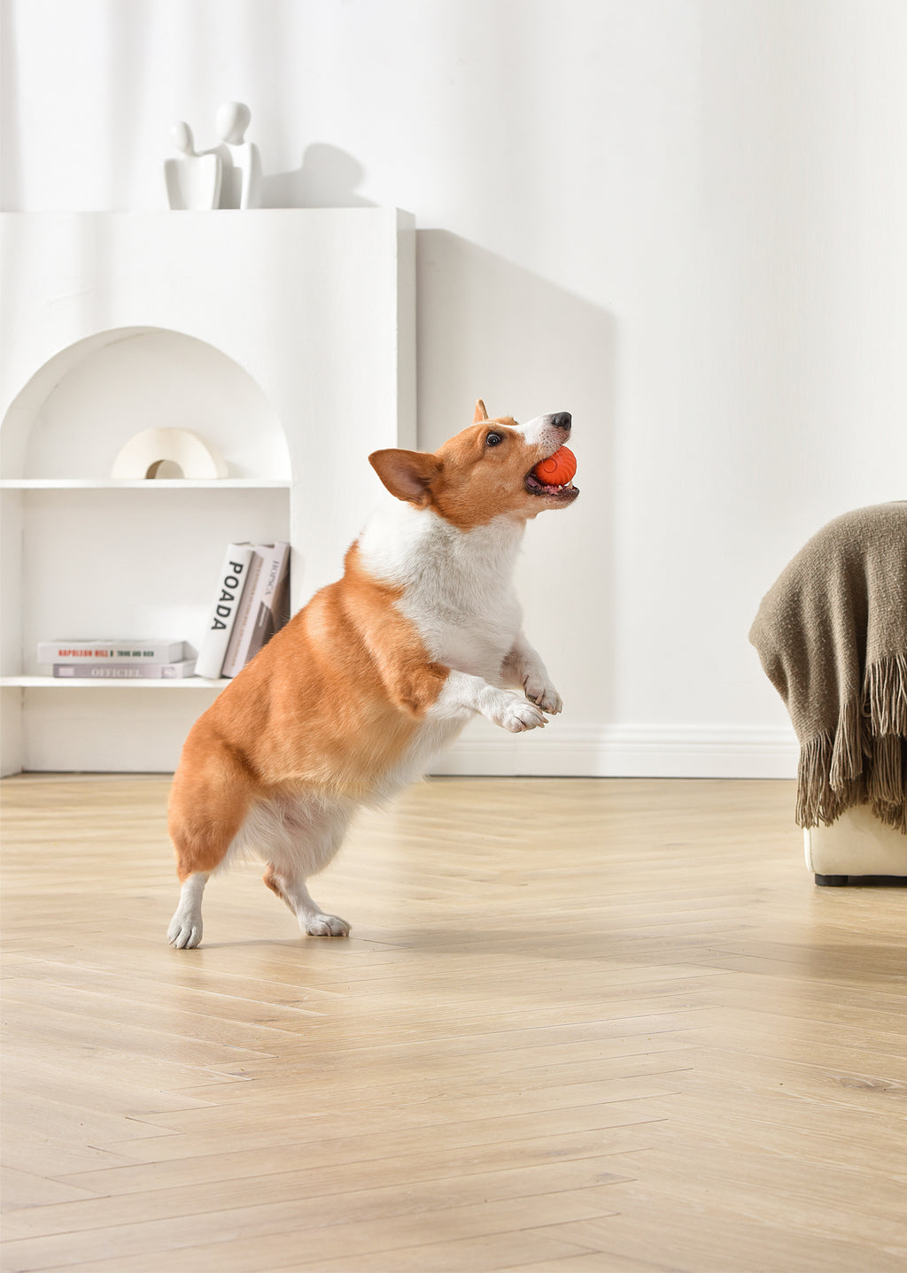 Petgravity Balle rebondissante intelligente pour chien de petite taille Orange