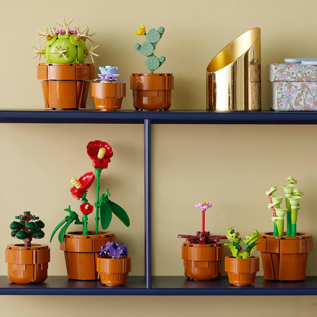 LEGO Botanicals 10329 Les plantes miniatures