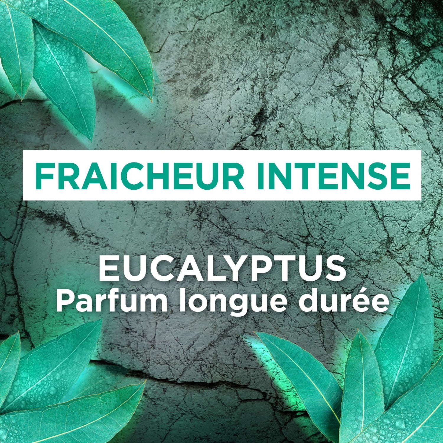 USHUAÏA Déodorant Spray 48h Eucalyptus Sauvage Fraîcheur Intense, 150 ml