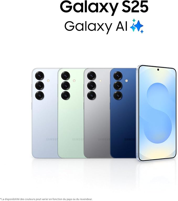 Samsung Galaxy S25 128 Go 5G Gris