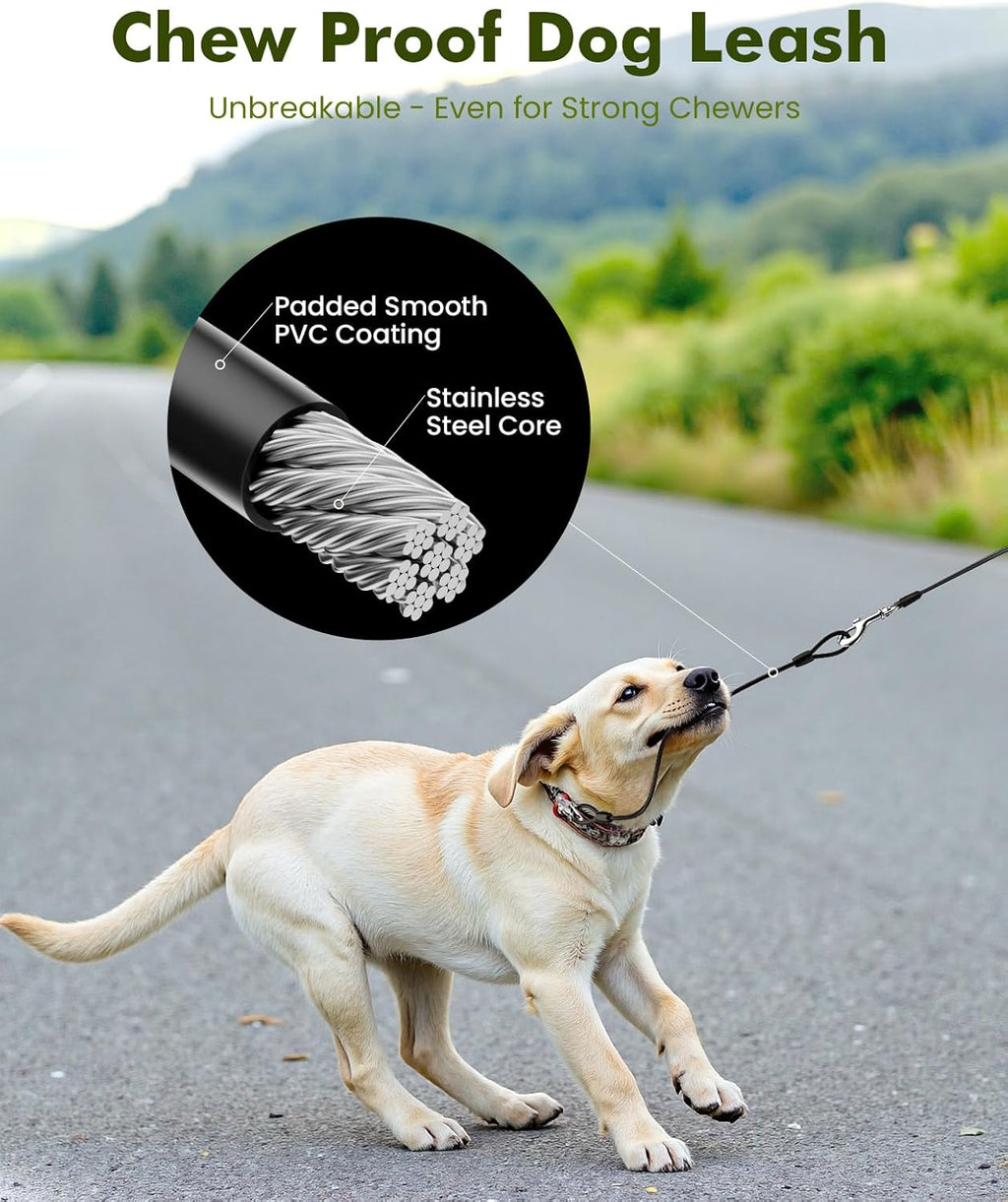 PECUTE Instant-Control Series Laisse de chien extensible 8 m avec corde en acier et distributeur de sacs à déjections canines - Vert
