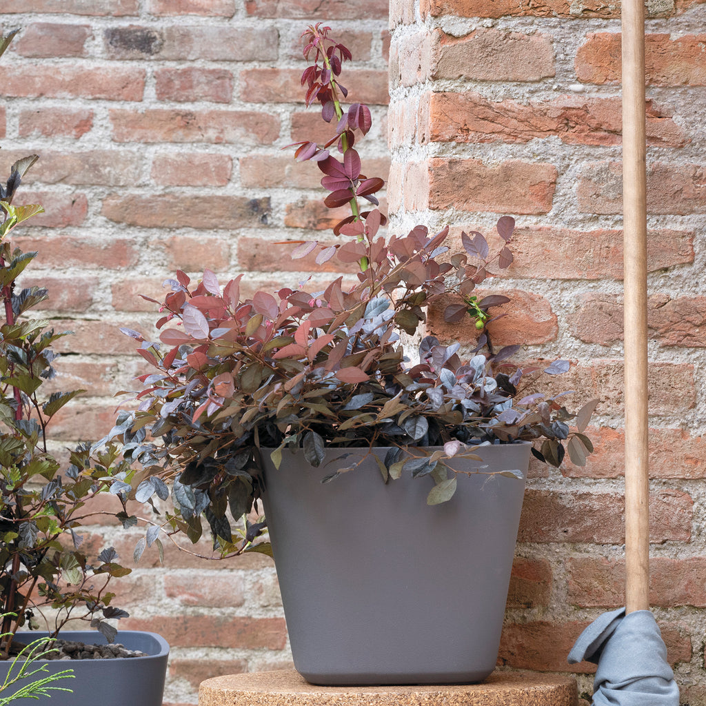 DEROMA Quadro Origin Grigio 28cm