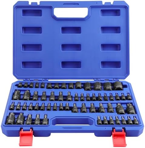 WORKPRO Jeu de 60 Pièces de Douilles d'Embouts Torx Master, Embouts 1/4", 3/8", 1/2", E4-E24, T6-T70, TT6-TT70, TP8-TP60, avec Étui de Rangement Amélioré