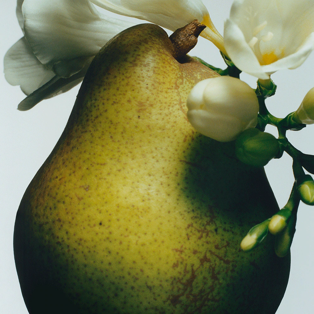 Jo Malone English Pear & Freesia Diffuseur de parfum 165 ml