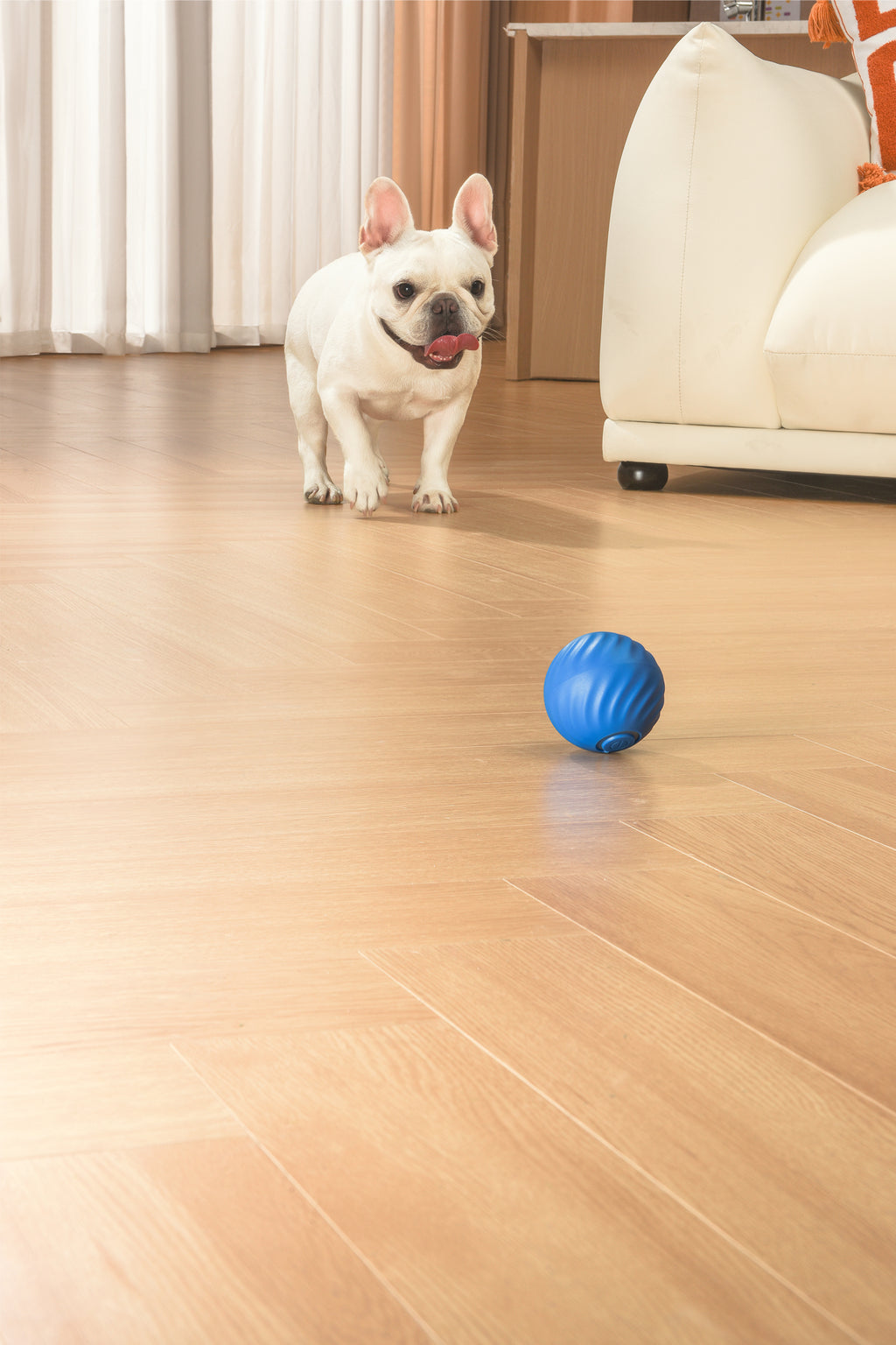 Petgravity Snack Shack Ball - Jouet interactif rebondissant, 72 mm, Bleu