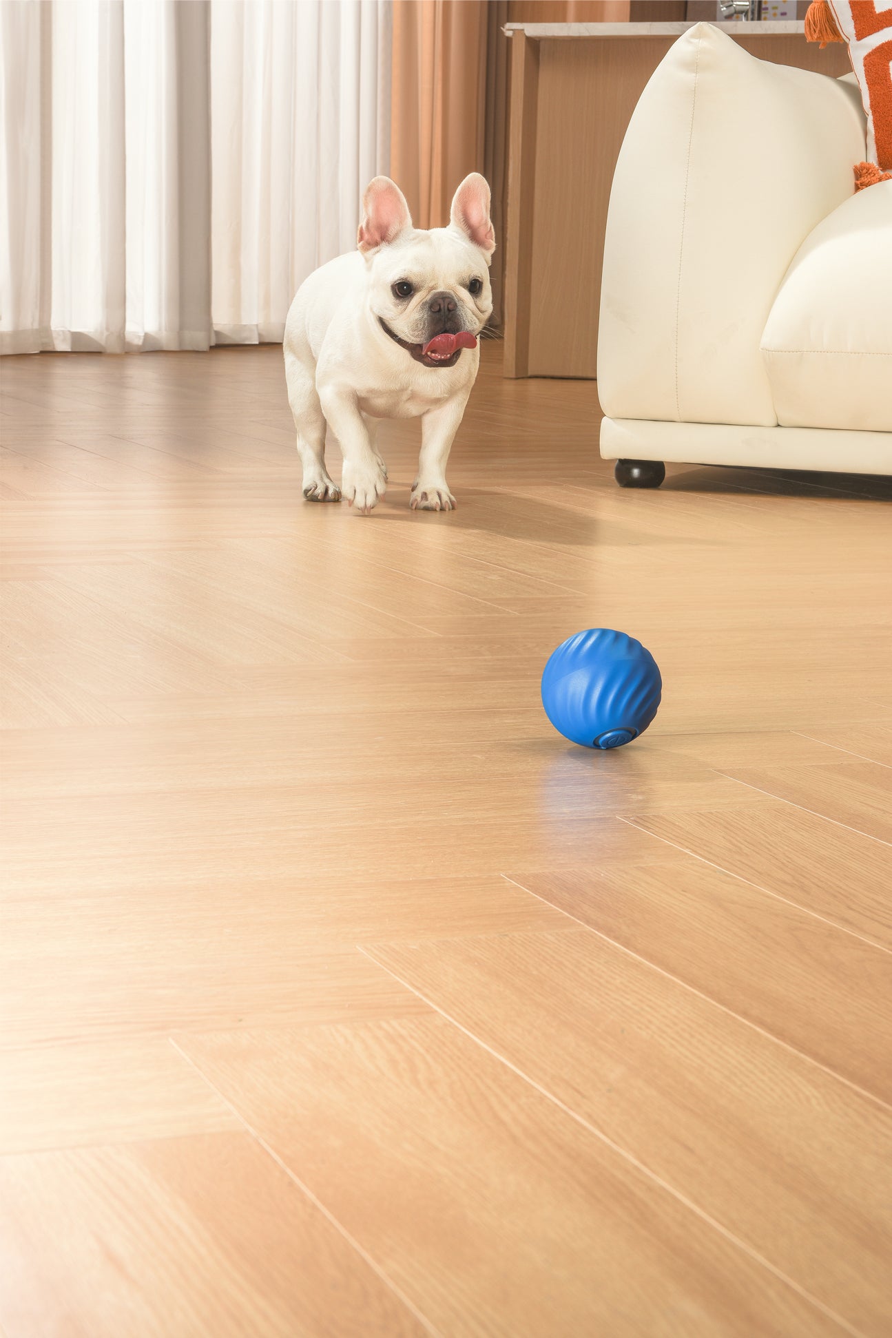 Petgravity Snack Shack Ball - Jouet interactif rebondissant, 72 mm, Bleu