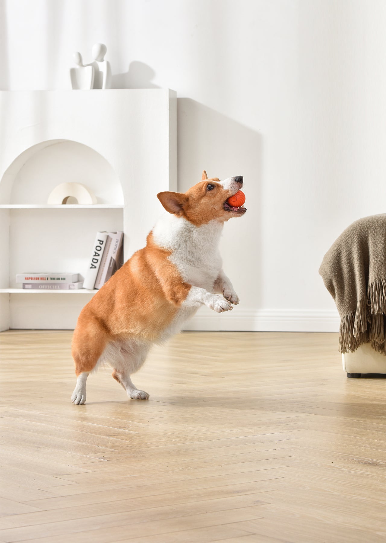 PETGRAVITY Balle rebondissante intelligente pour chien de taille moyenne - Orange